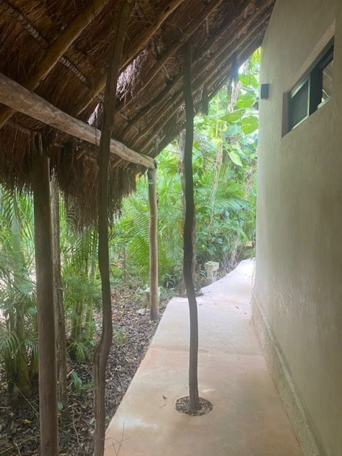 HOTEL, En VENTA, Av. Principal, Cobá, Tulum, Quintana Roo