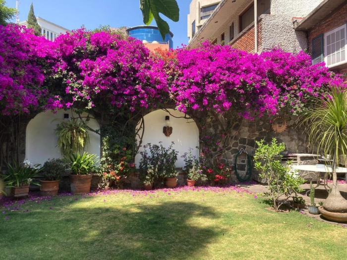 CASA EN FRACCIONAMIENTO, Monte Copiapo, Jardines En La Montaña, Tlalpan