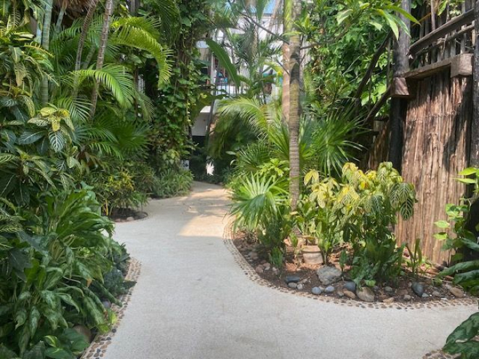 HOTEL, En VENTA, Calle 10 Norte, Entre 1ra. Y 5ta. Avenida, Playa Del Carmen, Quintana Roo