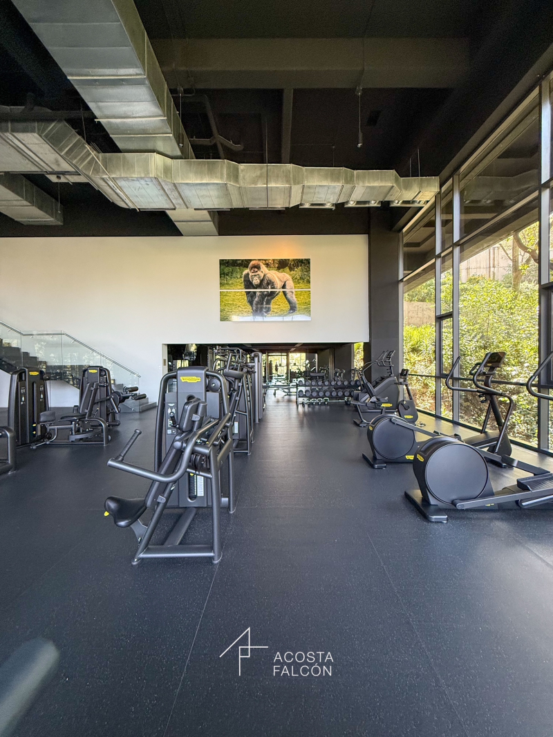 Departamento En Renta En Lomas De Vista Hermosa