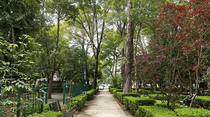 Departamento Venta Colonia Álamos Benito Juárez CDMX