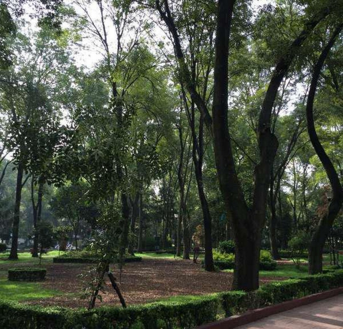 Departamento Venta Colonia Álamos Benito Juárez CDMX