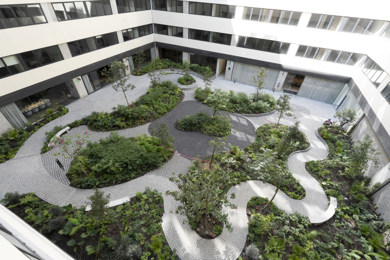 Departamento En Renta  2 Recámaras En  Col. San Rafael