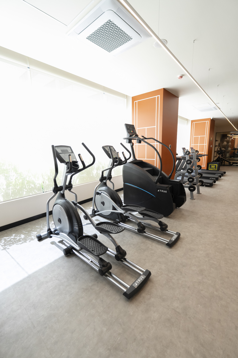 Departamento En Renta  2 Recámaras En  Col. San Rafael