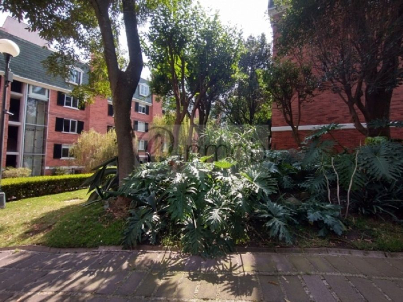 Renta Departamento En Pedregal 2, Verona Piso 4