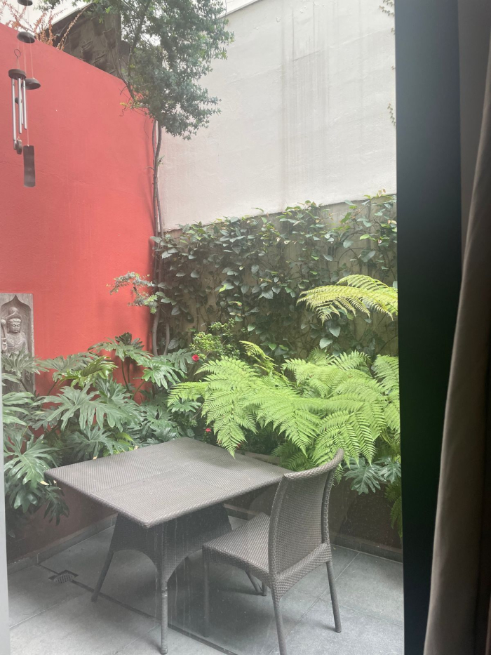 departamento en renta en polanco amueblado espectacular garden !!