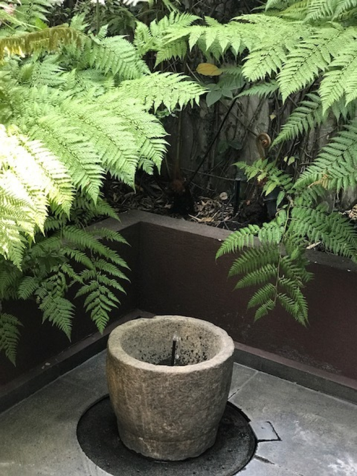 departamento en renta en polanco amueblado espectacular garden !!