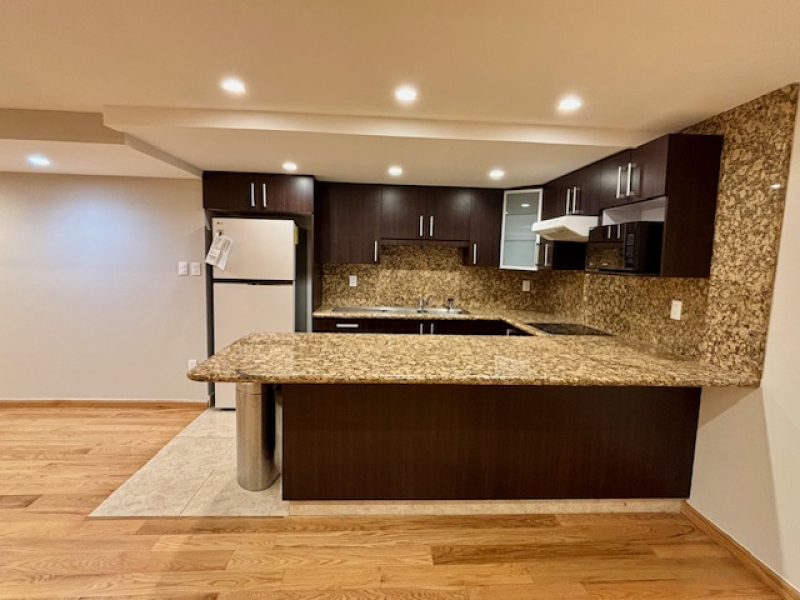 Departamento en Renta en Lomas Anáhuac