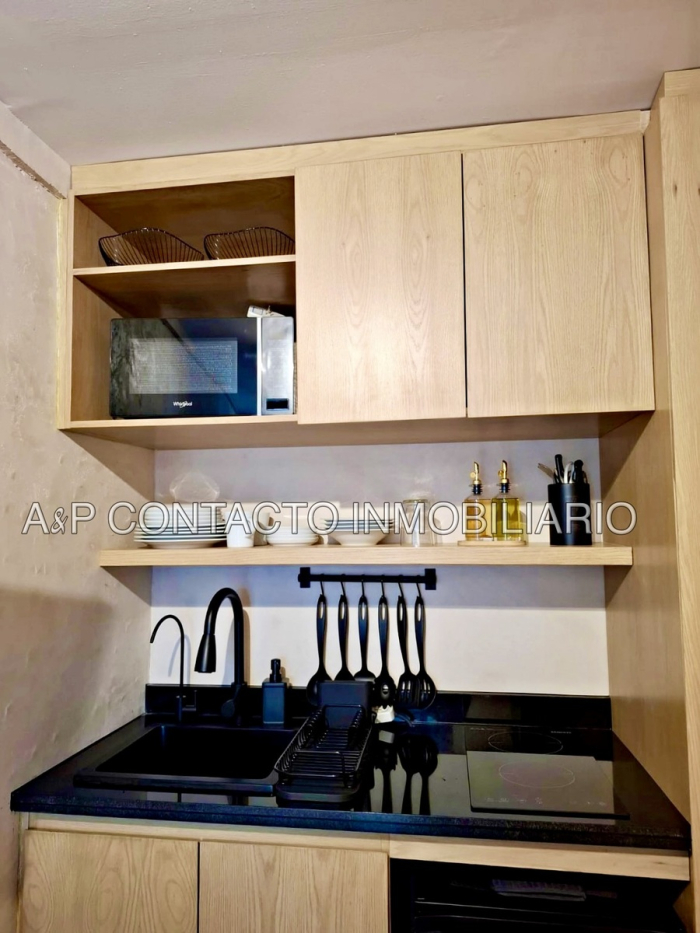 Renta Condesa Departamento 