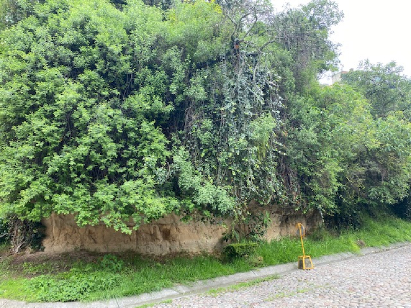 TERRENO, en VENTA, Cerrada de AnÃ¡huac, La Herradura, Huixquilucan, Edo. MÃ©xico