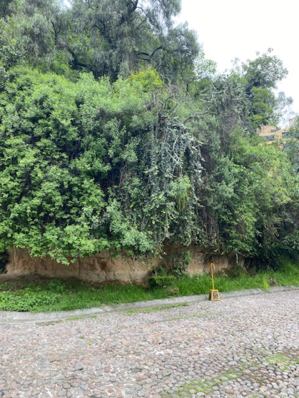 TERRENO, En VENTA, Cerrada De Anáhuac, La Herradura, Huixquilucan, Edo. México