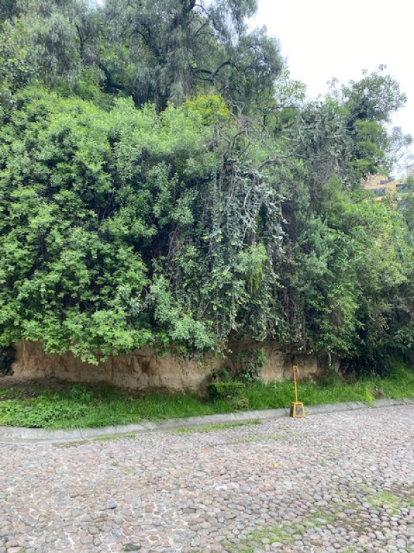 TERRENO, En VENTA, Cerrada De Anáhuac, La Herradura, Huixquilucan, Edo. México
