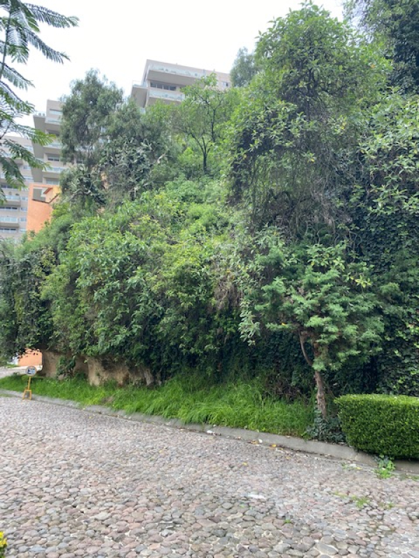 TERRENO, En VENTA, Cerrada De Anáhuac, La Herradura, Huixquilucan, Edo. México