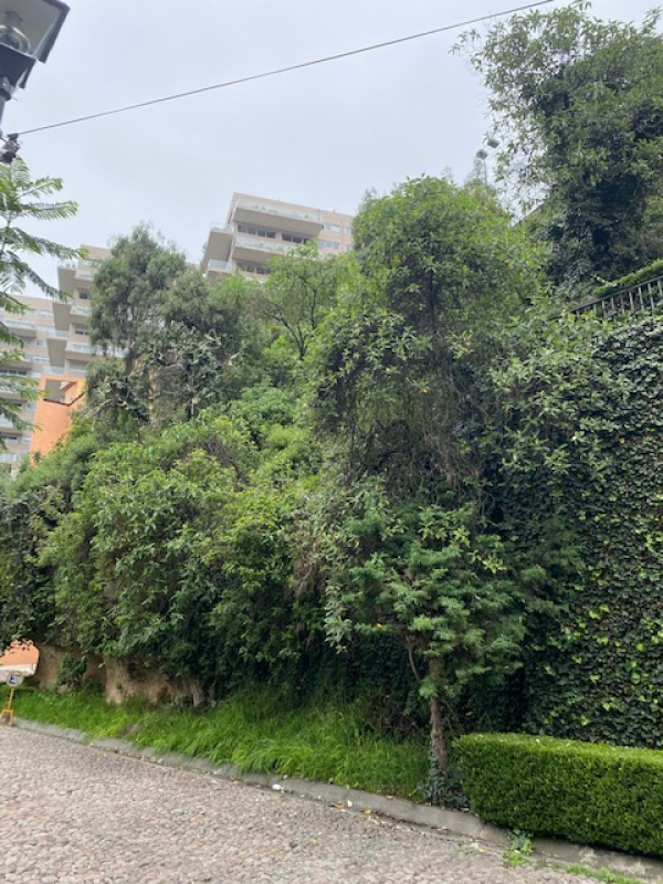 TERRENO, En VENTA, Cerrada De Anáhuac, La Herradura, Huixquilucan, Edo. México