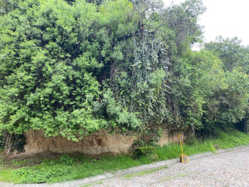 TERRENO, En VENTA, Cerrada De Anáhuac, La Herradura, Huixquilucan, Edo. México