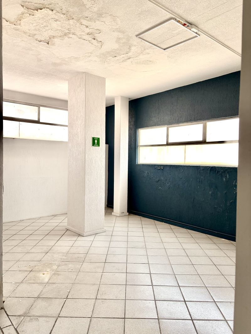 BODEGA COMERCIAL EN RENTA EN TECAMACHALCO, EDOMEX.