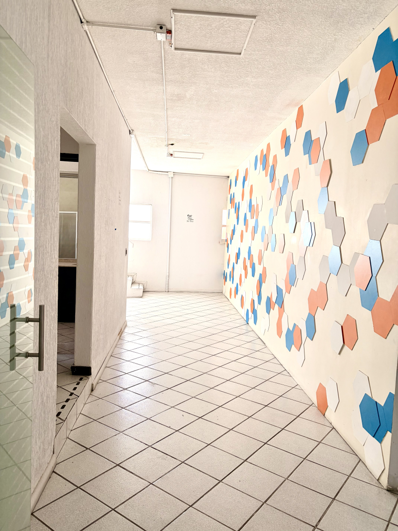 BODEGA COMERCIAL EN RENTA EN TECAMACHALCO, EDOMEX.