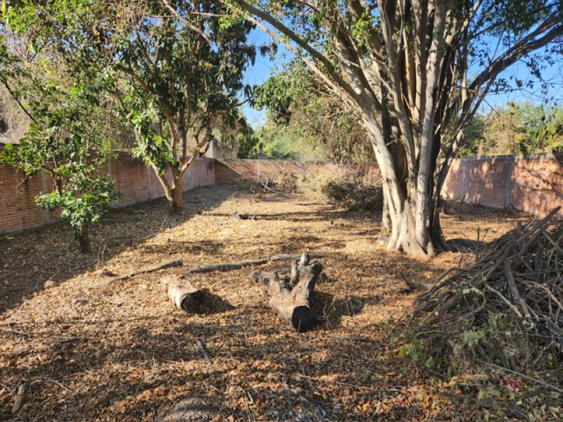 Terreno En Venta En Las Fincas De Tequesquitengo 
