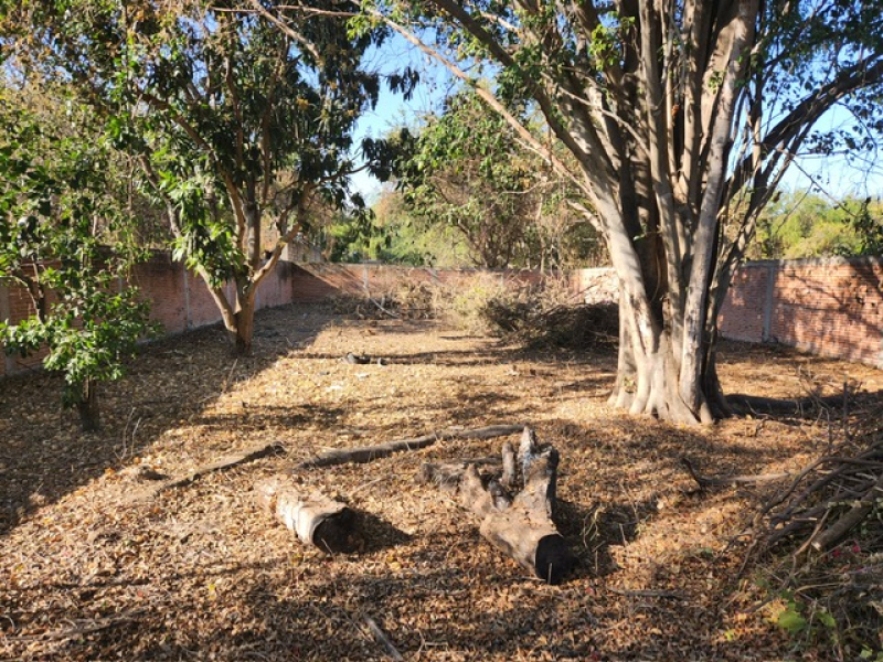 Terreno en Venta en Las Fincas de Tequesquitengo 