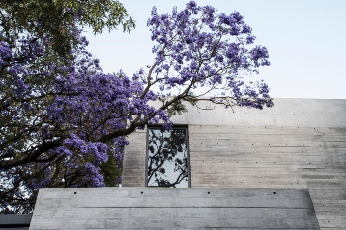 venta espectacular casa en lomas de chapultepec