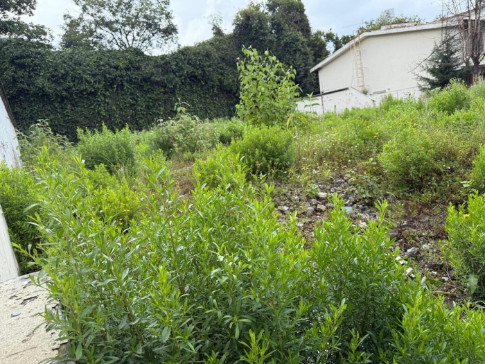 venta terreno en paseo de las primaveras