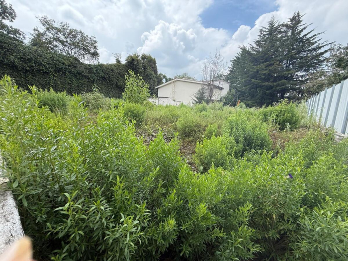 venta terreno en paseo de las primaveras