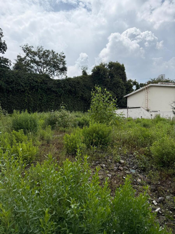 venta terreno en paseo de las primaveras