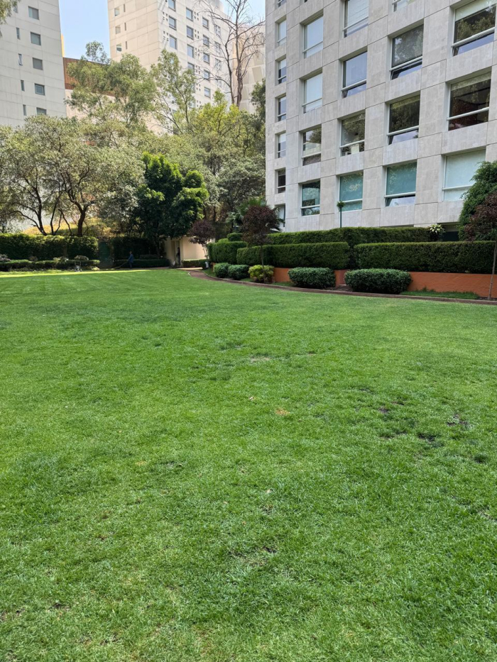 venta departamento en arbolada, lomas de bezares