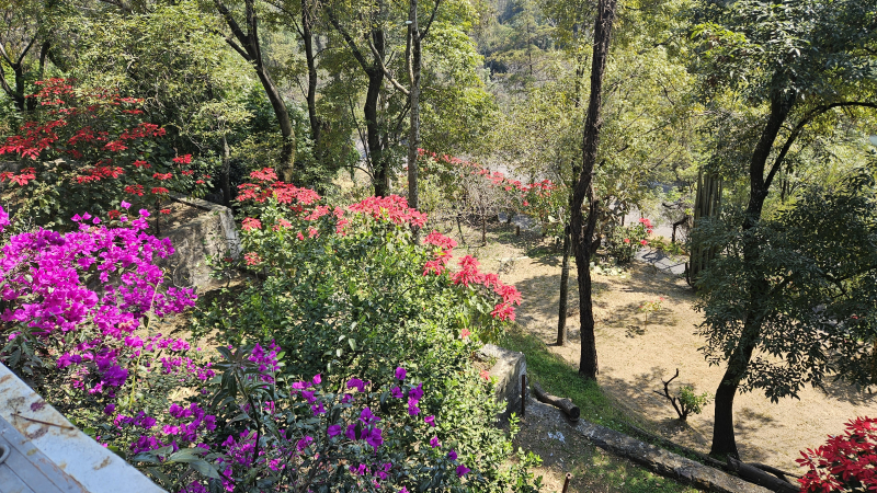 Casa En Venta En Lomas Del  Huizachal