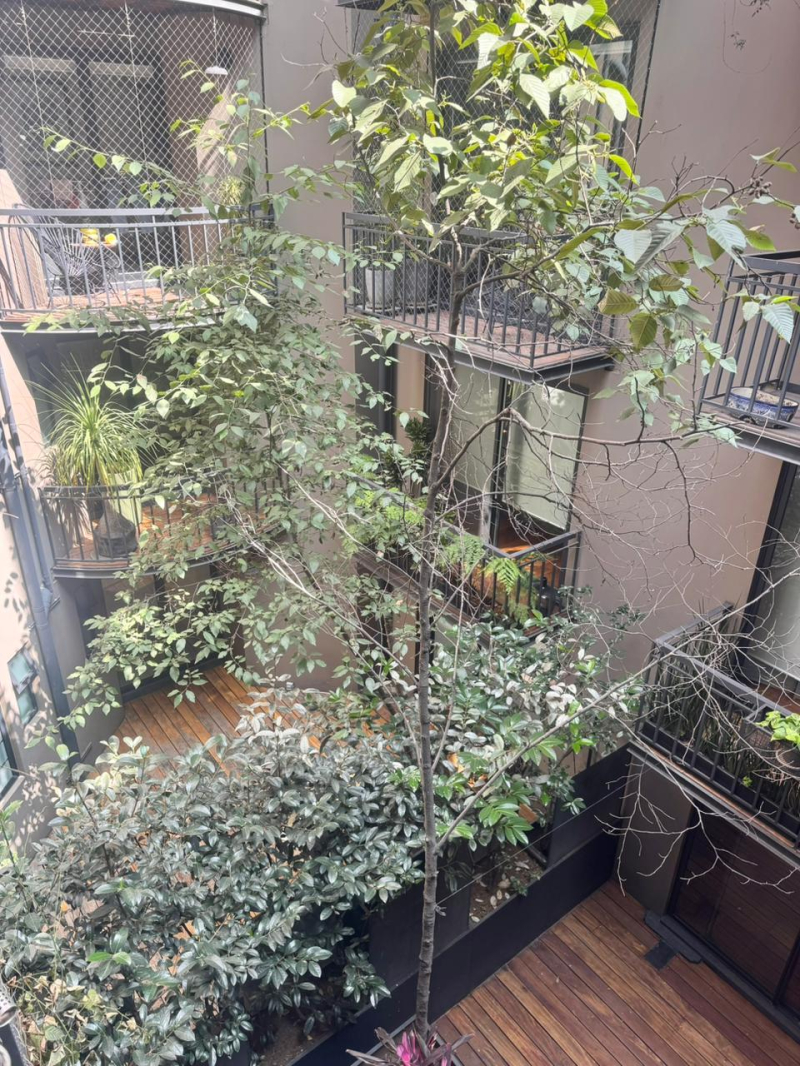 polanco como nunca lo habías vivido: lujo y armonía en cada detalle