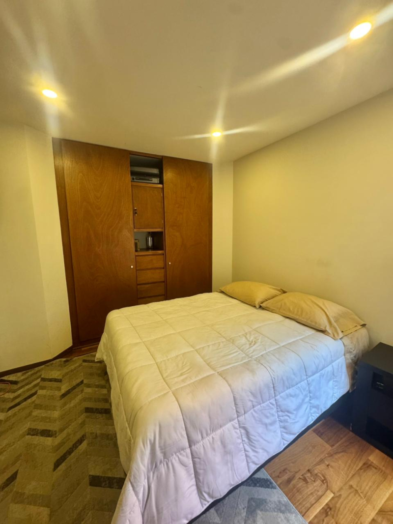 polanco como nunca lo habías vivido: lujo y armonía en cada detalle