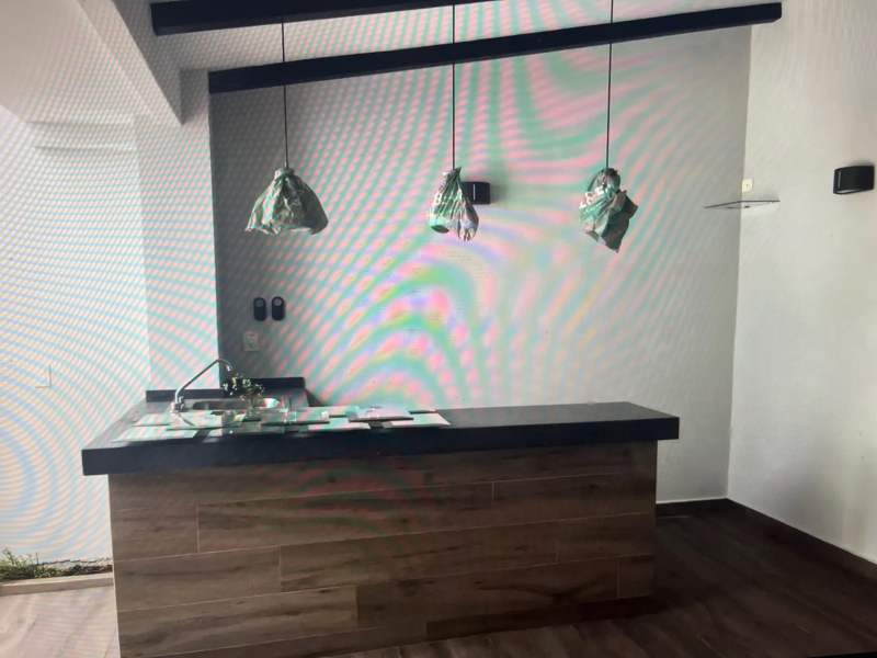 Casa En Condominio En Renta En Parque De La  Castellana