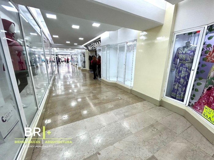 Edificio Comercial Con Locales Y Oficinas En Venta En Col. Centro