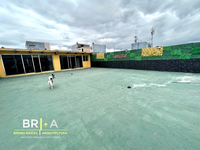 Edificio Comercial Con Locales Y Oficinas En Venta En Col. Centro