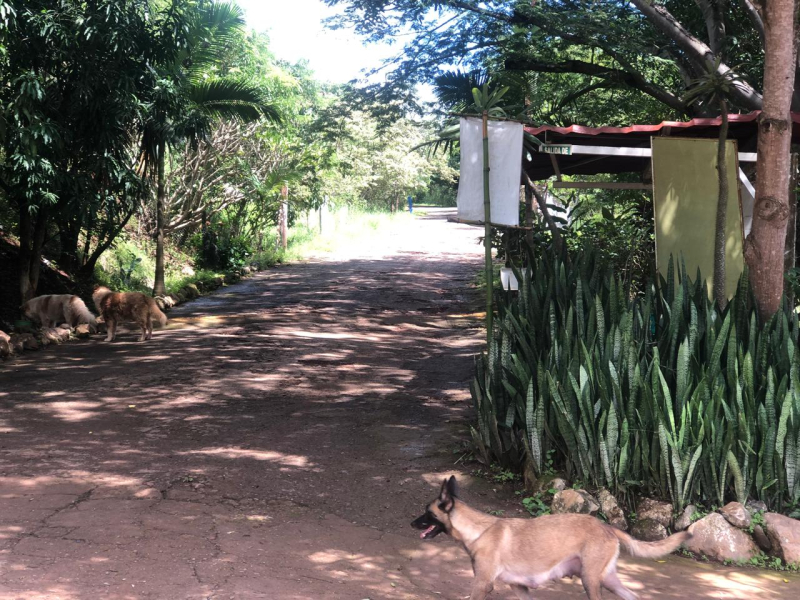 TERRENO EN VENTA, RIVERA  NAYARIT