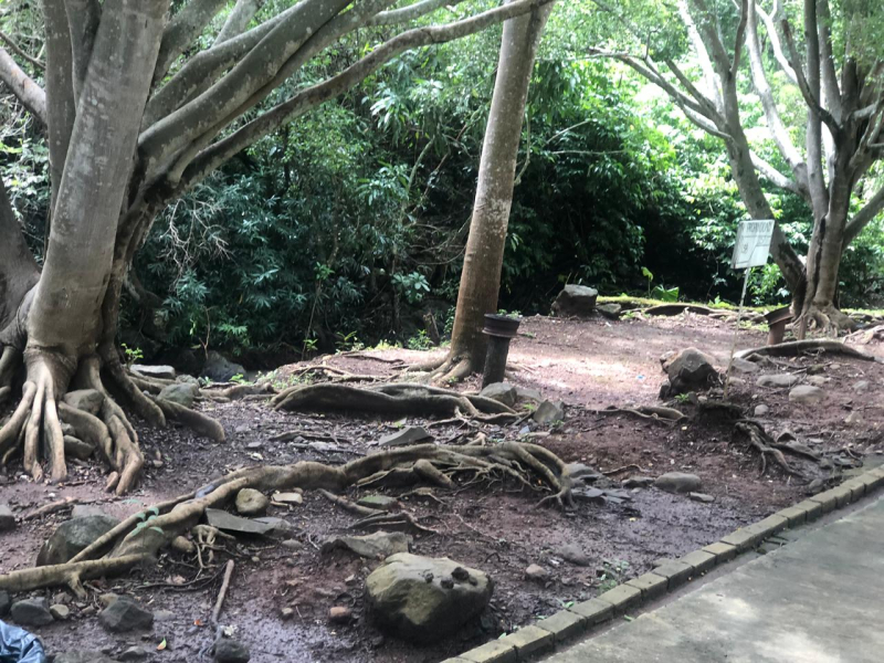 TERRENO EN VENTA, RIVERA  NAYARIT