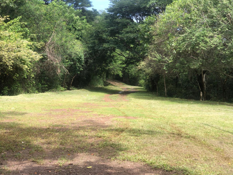 TERRENO EN VENTA, RIVERA  NAYARIT