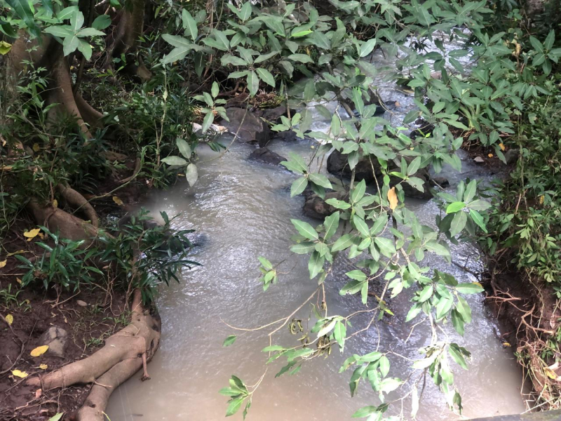 TERRENO EN VENTA, RIVERA  NAYARIT