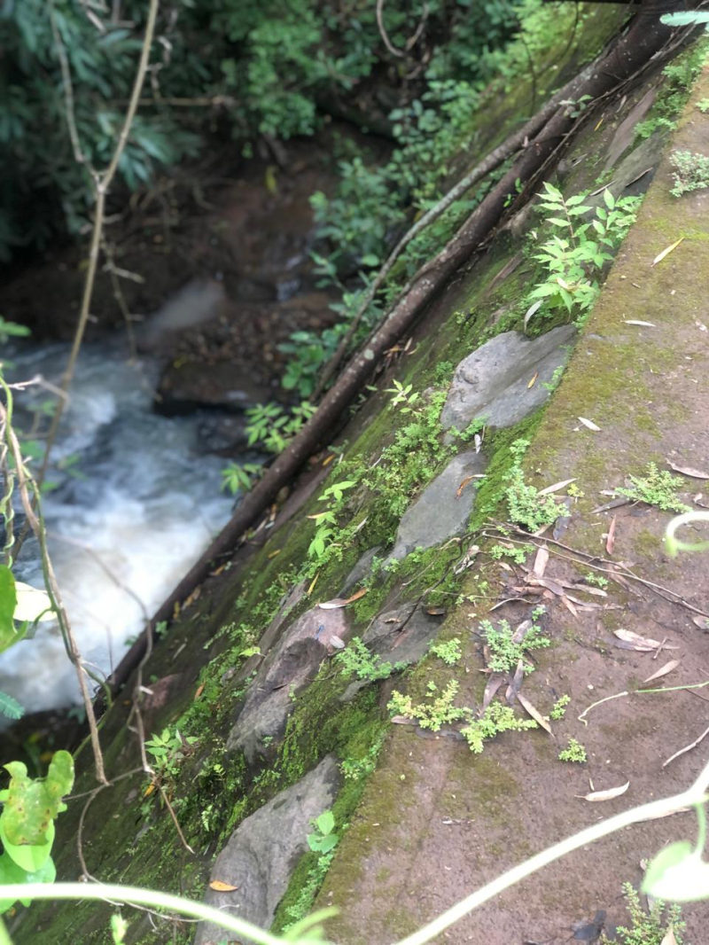 TERRENO EN VENTA, RIVERA  NAYARIT