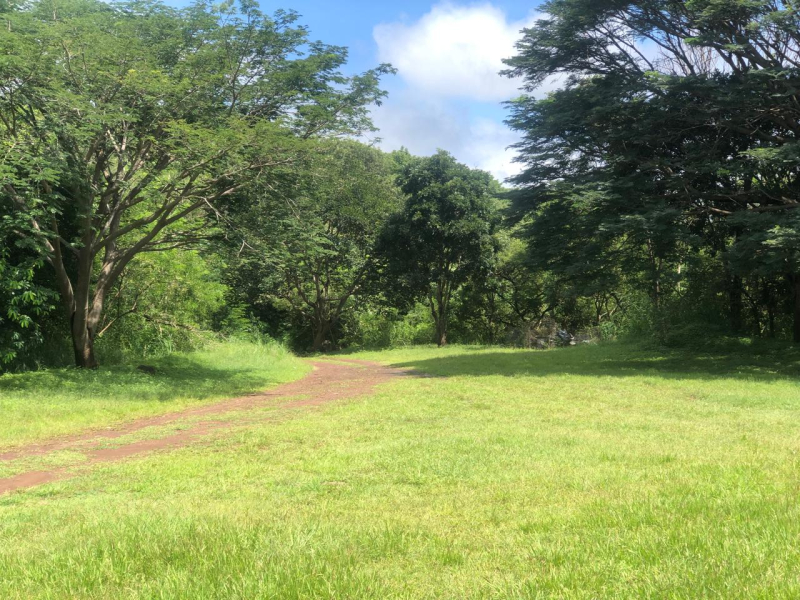 TERRENO EN VENTA, RIVERA  NAYARIT