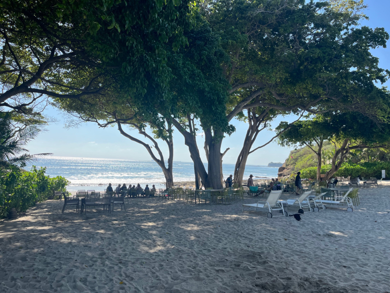 Departamento En Venta En Punta Mita