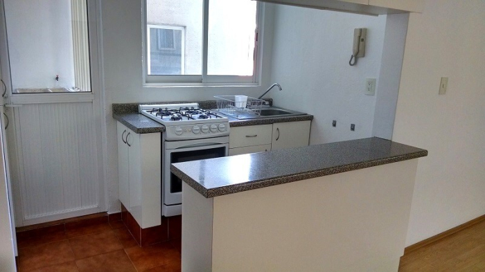 San Pedro De Los Pinos Departamento En Venta