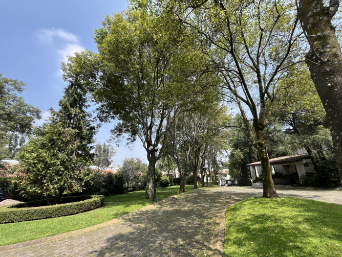 CASA EN VENTA EN SAN JOS�? DE LOS CEDROS MADEIRA 2