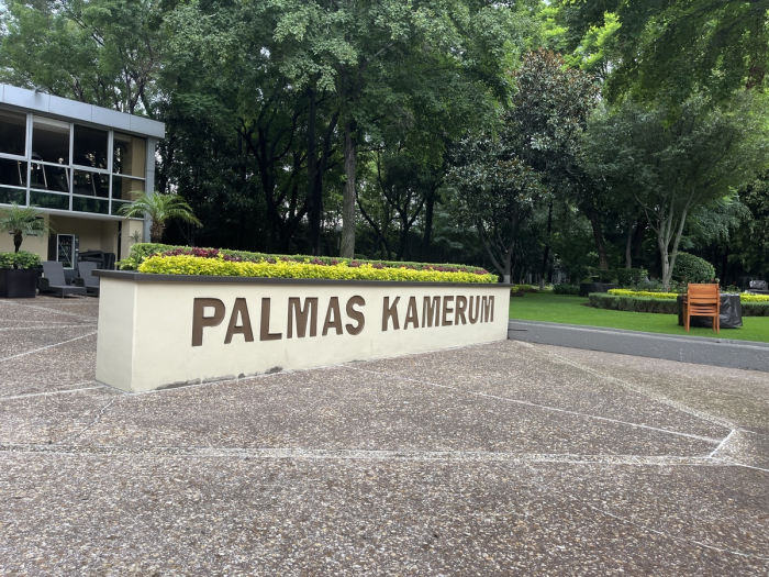 departamento amueblado en renta en palmas camerún lomas de chapultepec 