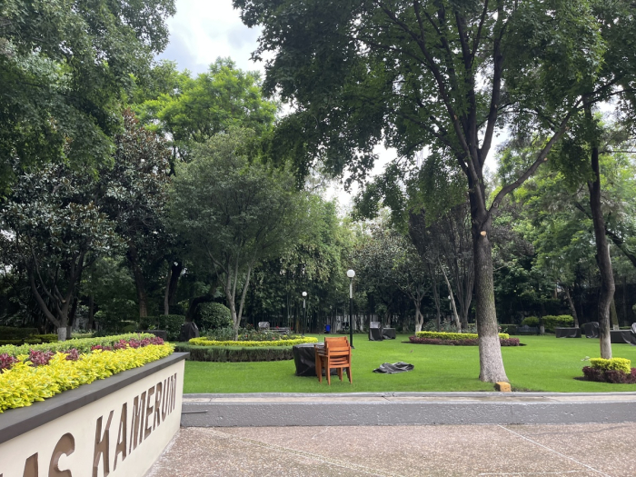 departamento amueblado en renta en palmas camerún lomas de chapultepec 