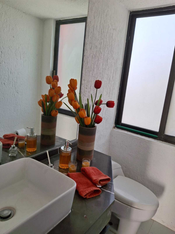 casa en venta en condado de sayavedra