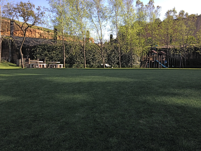 Departamento En Renta En Bosque Real