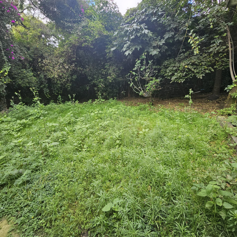 Casa En Venta �?? Jardines Del Pedregal