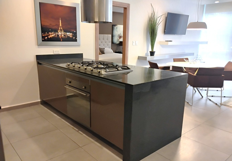 departamento en renta – plaza carso