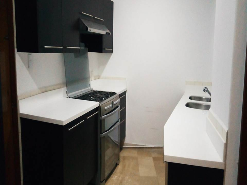 departamento en renta – polanco v sección